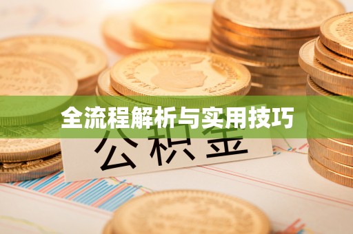 尉犁全流程解析与实用技巧