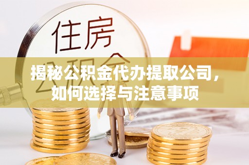 尉犁揭秘公积金代办提取公司，如何选择与注意事项