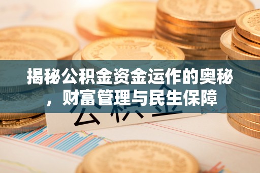 尉犁揭秘公积金资金运作的奥秘，财富管理与民生保障