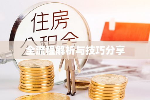 尉犁全流程解析与技巧分享